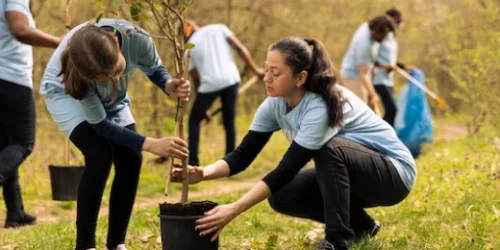 image_3-Environmental-Restoration-Project